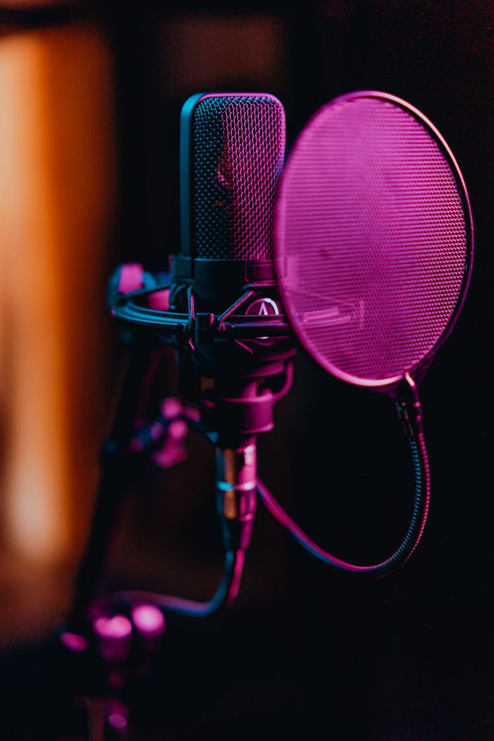 services-02 Close-up of a professional condenser microphone and pop filter in a recording studio.
